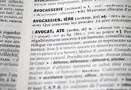 Avocati in sectorul 5 al Capitalei